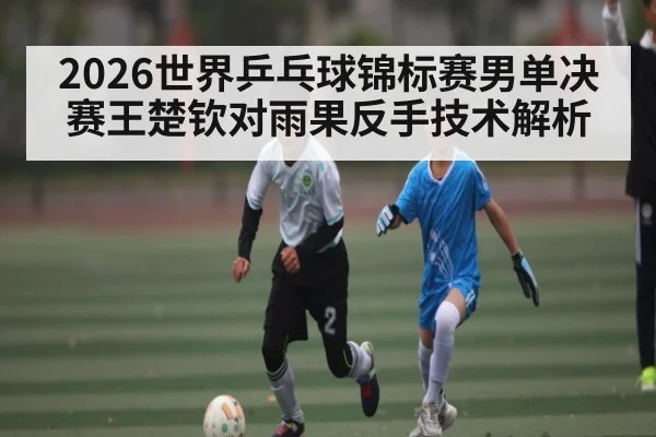 2026世界乒乓球锦标赛男单决赛王楚钦对雨果反手技术解析